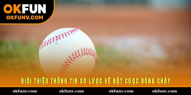 Giới thiệu thông tin sơ lược về đặt cược bóng chày