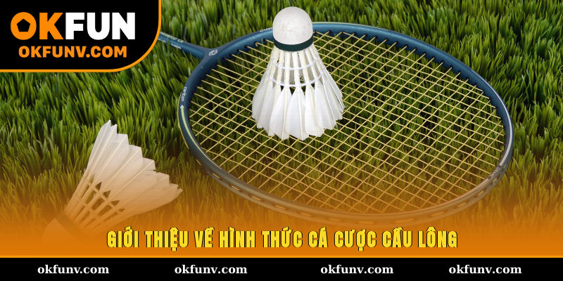 Giới thiệu về hình thức cá cược cầu lông