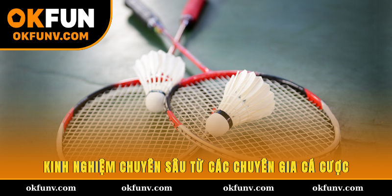 Kinh nghiệm chuyên sâu từ các chuyên gia cá cược