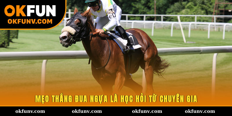 Mẹo thắng đua ngựa là học hỏi từ chuyên gia