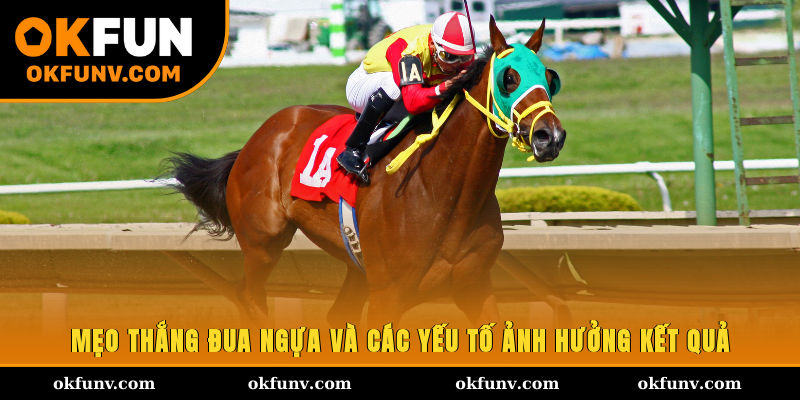 Mẹo thắng đua ngựa và các yếu tố ảnh hưởng kết quả