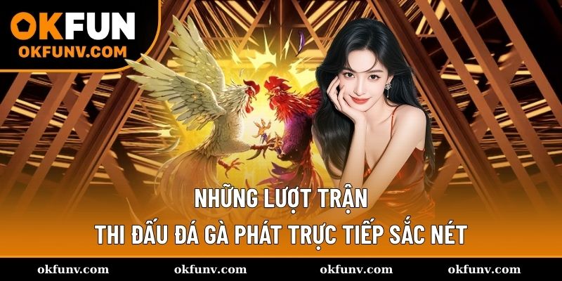 Những lượt trận thi đấu đá gà phát trực tiếp sắc nét