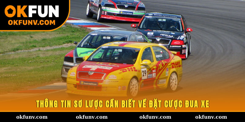 Thông tin sơ lược cần biết về đặt cược đua xe